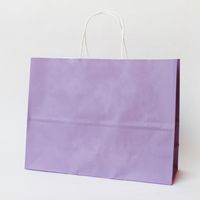 Style Simple Couleur Unie Papier Vacances Sacs Cadeaux main image 5