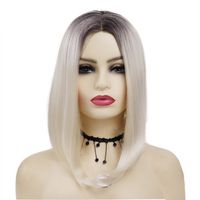 Women's Elegant Gradient Color Party High Temperature Wire Centre Parting Straight Hair Wigs main image 3