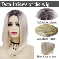 Women's Elegant Gradient Color Party High Temperature Wire Centre Parting Straight Hair Wigs main image 7