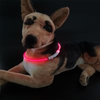 Casual Rubber Children's Day Solid Color Luminous Pet Collar 1 Piece main image 5