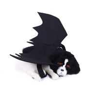 Halloween Bat Cloth Party Costume Props main image 5