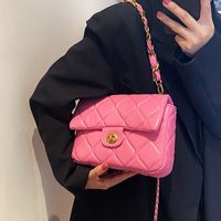 Mujeres Pequeña Todas Las Temporadas Cuero Sintético Color Sólido Moda Cuadrado Cerrar Bolsa De Cadena sku image 6