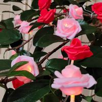 Valentine's Day Cute Rose Pvc Party String Lights sku image 28