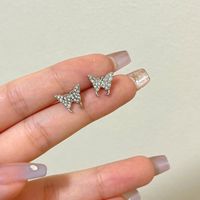 Dulce Mariposa Aleación Enchapado Diamantes De Imitación Artificiales Pendientes sku image 1