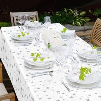 Star Cloth Party Tablecloth main image 3