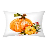 Ethnic Style Pumpkin Synthetic Fibre Pillow Cases sku image 4