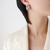 Fashion Geometric Titanium Steel Hoop Earrings Plating Stainless Steel Earrings 1 Pair sku image 1