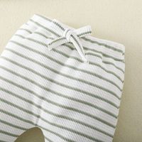 Simple Style Stripe Cotton Polyester Boys Clothing Sets main image 2