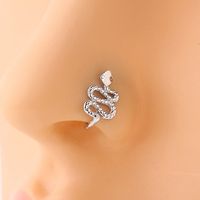 Simple Style Crown Flower Butterfly Copper Plating Inlay Zircon Nose Studs 1 Piece main image 3