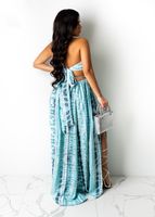 Casual Vacation Fashion Printing Halter Neck Sleeveless Printing Hollow Out Spandex Polyester Maxi Long Dress Strap Dress main image 4