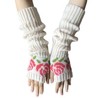Women's Fashion Flower Knitted Fabric Gloves 1 Pair main image 2