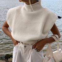 Women's Sweater Sleeveless Sweaters & Cardigans Patchwork Casual Solid Color main image 1
