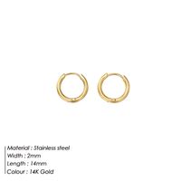1 Pair Simple Style Round Solid Color Plating Stainless Steel 14K Gold Plated Rose Gold Plated Hoop Earrings sku image 5