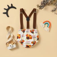 Acción De Gracias Básico Turquía Bordado Impresión Cintura Elástica Algodón Conjuntos De Ropa De Bebé main image 4