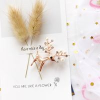 Cute Elk Alloy Plating Artificial Pearls Women's Brooches sku image 1