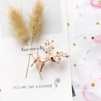 Cute Elk Alloy Plating Artificial Pearls Women's Brooches main image 2