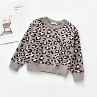 Casual Leopard Acrylic Hoodies & Sweaters main image 2