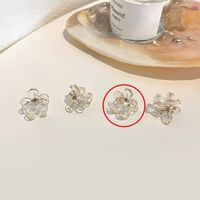 Moda Flor Arílico Embutido Diamantes De Imitación Garras De Pelo 1 Pieza sku image 1