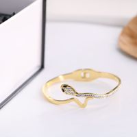 Fashion Snake Titanium Steel Plating Zircon Bangle 1 Piece main image 3