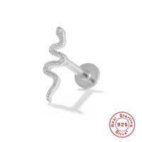 1 Piece Simple Style Snake Sterling Silver Plating Ear Studs main image 2