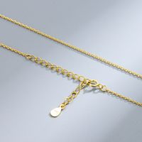 Simple Style Geometric Silver Plating Necklace sku image 3