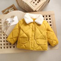Fashion Solid Color Polyester Boys Outerwear sku image 6