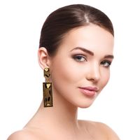 Retro Leopard Rectangle Pu Leather Alloy Inlay Crystal Women's Drop Earrings 1 Pair main image 7