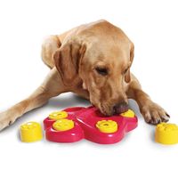 Einfacher Stil Kunststoff Fußabdruck Spielzeug Für Haustiere 1 Stück main image 6