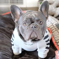 Fashion Polyester Letter Stripe Pet Clothing 1 Piece main image 6
