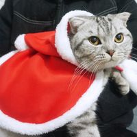 Simple Style Flannel Christmas Color Block Pet Clothing 1 Piece main image 4