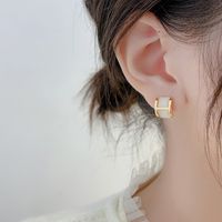 Mode Géométrique Opale Placage Femmes Boucles D'oreilles 1 Paire main image 4