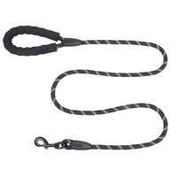 Fashion Polyester Color Block Leash sku image 2