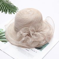 Women's Fashion Solid Color Flowers Flat Eaves Sun Hat sku image 7