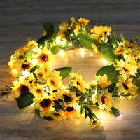 Birthday Fashion Wreath Plastic Indoor Lightings sku image 7