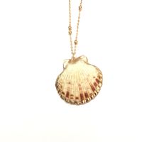 Simple Style Shell Alloy Plating Women's Pendant Necklace sku image 9