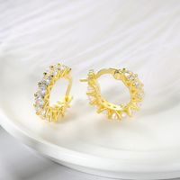 Fashion Circle Copper Zircon Hoop Earrings 1 Pair main image 1