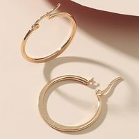 1 Pair Fashion Solid Color Plating Stainless Steel Hoop Earrings main image 3