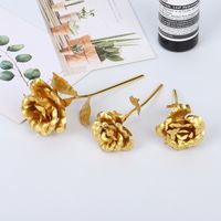 Fashion Solid Color Pp Date Rose Flower 1 Piece main image 1