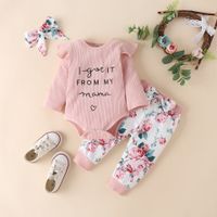 Fashion Flower Cotton Blend Baby Clothing Sets sku image 10