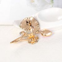 Fashion Lotus Leaf Alloy Inlay Artificial Pearls Rhinestones Women's Brooches main image 4