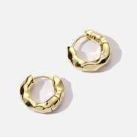 Fashion Round Alloy Plating Women's Earrings 1 Piece main image 1