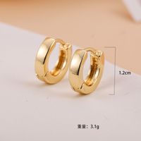 Simple Style Circle Alloy Plating Unisex Hoop Earrings 1 Pair main image 6