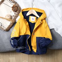 Casual Letter Color Block Button Polyester Boys Outerwear sku image 7