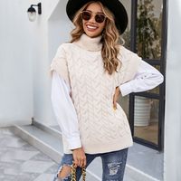 Women's Sweater Sleeveless Sweaters & Cardigans Fashion Solid Color main image 5
