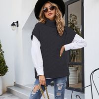 Women's Sweater Sleeveless Sweaters & Cardigans Fashion Solid Color main image 4