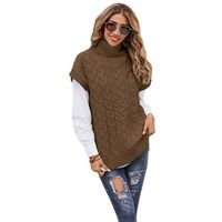 Women's Sweater Sleeveless Sweaters & Cardigans Fashion Solid Color main image 2