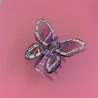Mode Fleur Papillon Arylique Plastique Résine Incruster Perles Artificielles Diamant Artificiel Griffes De Cheveux 1 Pièce main image 5