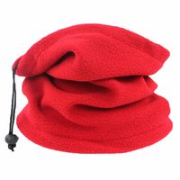 Women's Simple Style Solid Color Cashmere Tassel Winter Scarves main image 2