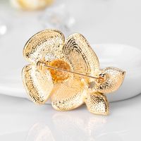 Style Simple Fleur Alliage Incruster Strass Femmes Broches main image 5