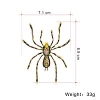 Fashion Spider Alloy Inlay Rhinestones Women's Brooches main image 5